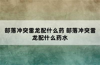 部落冲突雷龙配什么药 部落冲突雷龙配什么药水